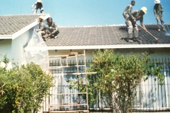 IMG01
